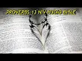 PROVERBS 13 NIV BIBLE with text
