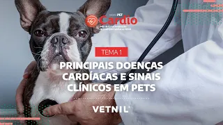 Agosto Pet Cardio – Tema 1: Principais doenças cardíacas e sinais clínicos em pets