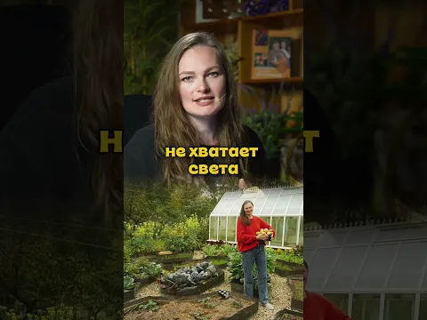 Мы перестали полоть грядки и сорняков почти нет #дачныйагроном #рекомендуем