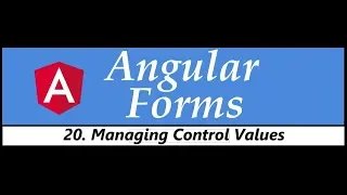 Angular Forms Tutorial - 20