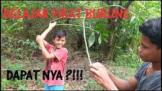 Download Pikat burung kecil MP3