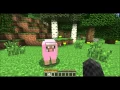 Minecraft - How to tame a sheep
