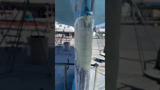 We’re back in the water and all put together! Very happy to be sailing again! #ourladydefiant