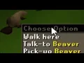 OSRS Beaver pet
