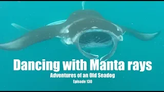 Dancing with Manta Rays  Adventures of an Old Seadog, ep 130