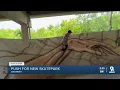 Old or new advocates want a skate park in Cincinnati