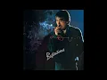 Akira Terao - Shadow City