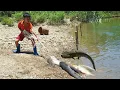 Download Lagu The traditional fishing technique, Bac uses a long rope to fish, harvesting 20kg of giant fish.