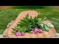 Natural burials encourage families to be involved in death care