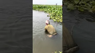 Village fishing 