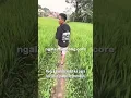 Download Lagu Seru seruan ngala muncang berebes du