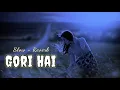 Gori Hai Slow and Reverb Song | LoFi Song 🥰