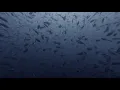 Castle Rock - Komodo National Park - 30/09/19