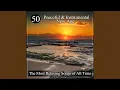 Massage del Mar Sensual Chill Nature Sounds