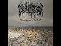 Slave Species of the Gods - Blood Incantation