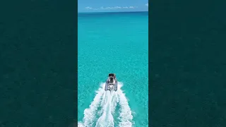 80 Mile Adventure to catch our dinner, Search Sailing Zola for the full video!! #bahamas #fishing