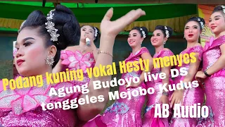 Download Podang kuning : vokal Hesty menyes taman sari agung Budoyo live ds tenggeles Mejobo Kudus 17des22 MP3