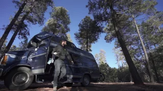 Desert Forests – Baja or Bust 40