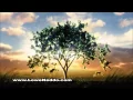 Lowe Neddo Funeral Home Matthews NC 704-545-3553