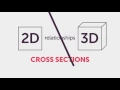 Cross Sections