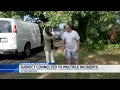Shooting suspect Tony Kidd s connection to more violent crimes