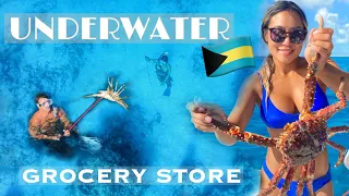 CIGUATERA TEST & Spearfishing in Acklins Bahamas – Ep 27