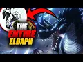The ENTIRE ELBAPH ARC EXPLAINED ONE PIECE