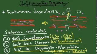 Inflamação Aguda - Resumo - Patologia Geral