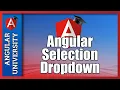 Angular Selection Dropdown Form Control - Step-by-Step Example
