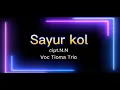 Download Lagu sayur kol-lirik lagu
