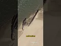 Hiking to a shipwreck I discovered on Google Earth