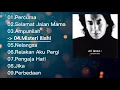 Download Lagu ARI LASSO - Sendiri Dulu Full Album (2001)