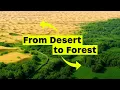 Download Lagu How China Is Turning the Sea of Death Into a Green Forest!