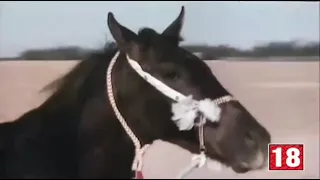 عمر خورشيد ومقطوعة موسيقية رائعة من فيلم اموت مرتين واحبك 