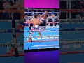 Download Lagu Shakur Stevenson crazy defense and counter punching! #sports #boxing #shakurstevenson