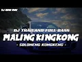 Download Lagu DJ THAILAND - MALING KINGKONG Soloneng KongKeng FULL BASS VIRAL TIKTOK || DJ IGEM RMX