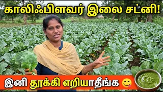 தோட்டத்துல பறிச்ச காலிஃப்ளவர் இலையில கிராமத்து சட்னி 🌿 செம டேஸ்ட்! | INDIAKUTTY