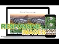 Bootstrap Responsive Images Bootstrap Tutorial 2019