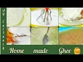 How to make ghee at home Home made Pure Ghee AR Culinary