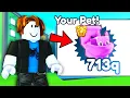 Starting Over as a NOOB but with the BEST Pet in Pet Simulator X