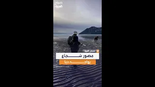 مصور شجاع يتصرف بذكاء في مواجهة دب ضخم ويتمكن من السيطرة على الموقف بطريقة مذهلة وغير متوقعة 