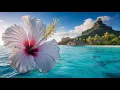 Tropical Paradise The Best Destinations in the Pacific Islands