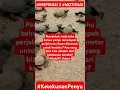 Download Lagu #shots Mengapa Penyu Bisa Menempuh Perjalanan Ribuan Kilometer? Pelajaran Ketekunan #KetekunanPenyu