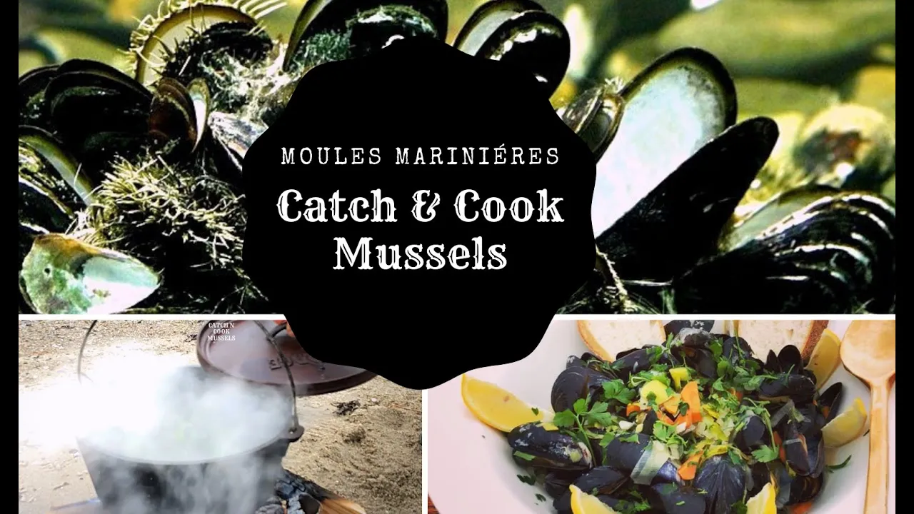 Catch and Cook Mussels