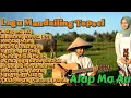 Download Lagu ✨ Lagu Mandailing Terpopuler Sepanjang Masa | Koleksi Terbaik Paling Hits 🎶