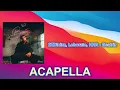 2ZDinizz, Leborato, HHR -  Beatriz (ACAPELLA) Vocals Only