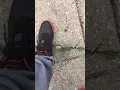 Big ass spider Not even scared of me