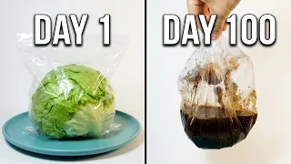So as it turns out lettuce really is mostly water...