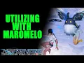 PSO2 NGS Waker Maromelo Familiar Utilization guide