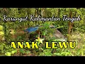 Download Lagu Karungut Dayak Kalimantan Tengah - Anak Lewu, Cipt/ Vocal. Bilton